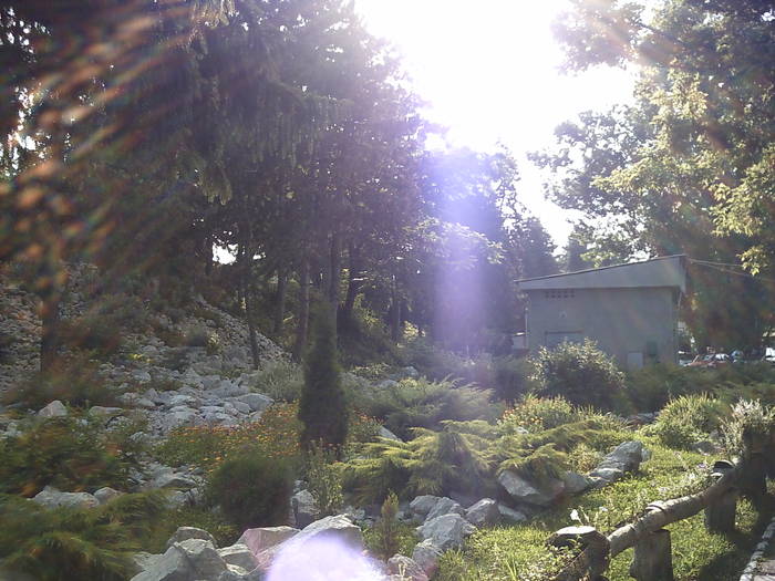 PICT0174