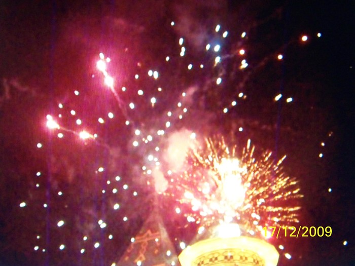 100_7079 - 1 Decembrie Timisoara