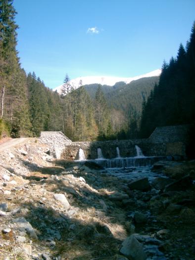 04130148 - Iezer-Papusa