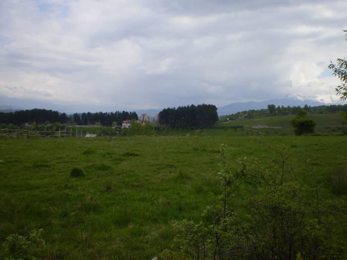 Poze 027; Zona Brazi.
