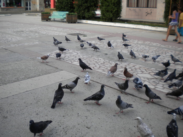 DSCN0125 - 18f Targoviste