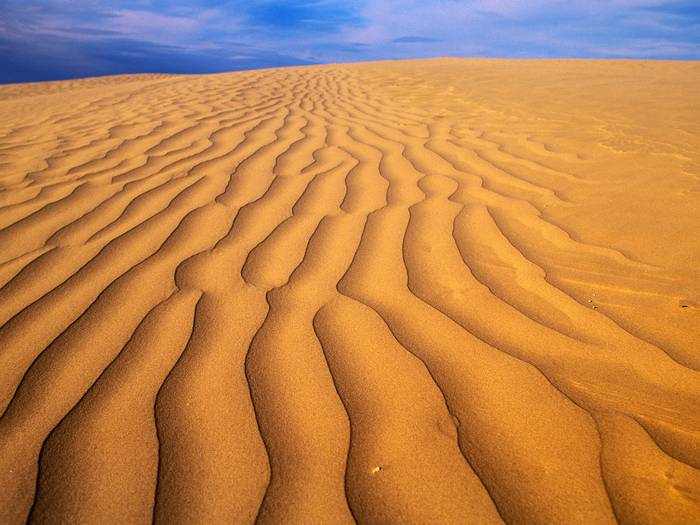 Great Sandhills, Saskatchewan, Canada