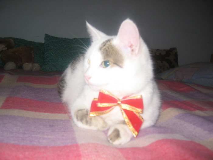 23 dec 2007 043