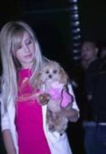  - Ashley Tisdale