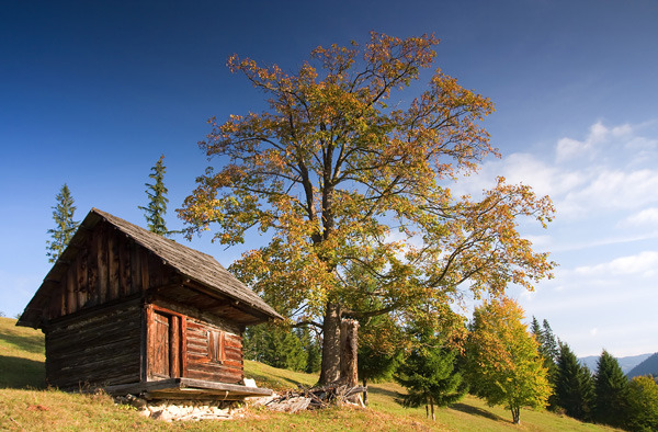 Palaghioi-Bordei din Bucovina 3