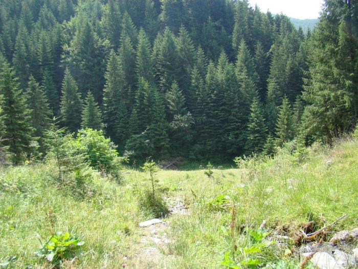 DSC01970 - Concediu 2008