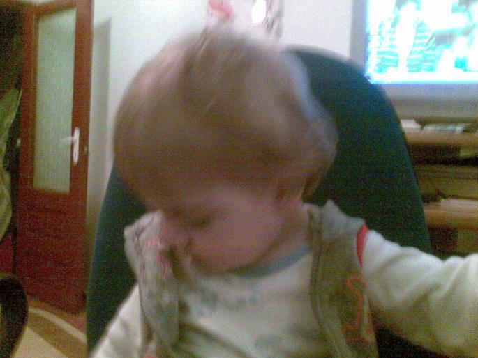 18032008(008) - mihai