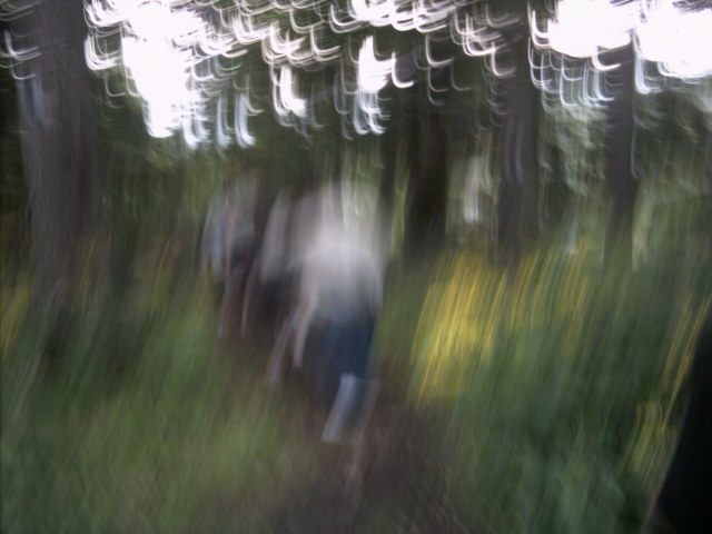 AAAA0493