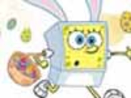 wp_sponge_100