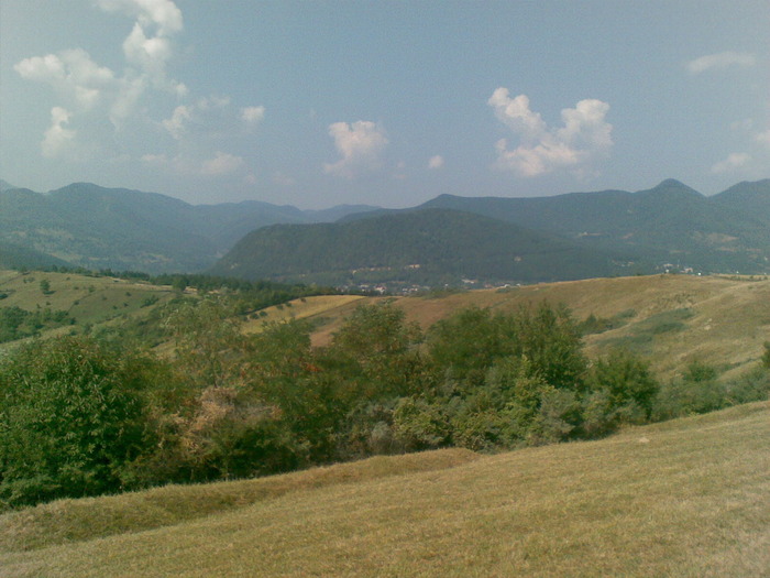 29082009(023) - vanatoare padure