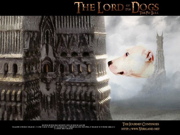 thelordofthedogs - Wallpapers pitbull