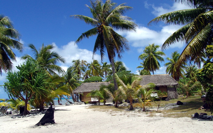 415_tropicalbedandbreakfast_1440x900