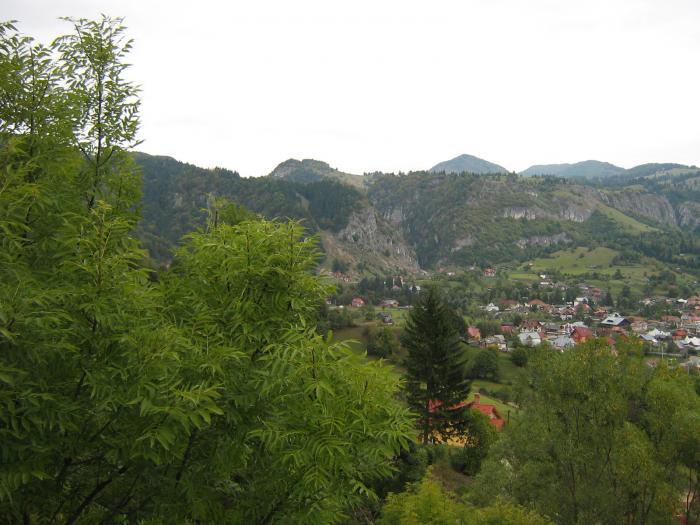 V.cheii sept. 2008 090 - Valea Cheii-Podul Dambovicioarei-Piatra Craiului