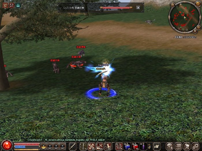 1214_113221 - metin 35 pserver poze noi