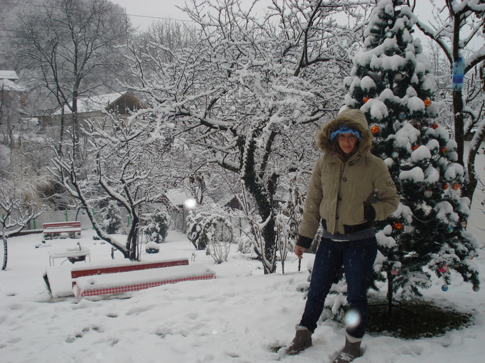 DSC06497 - 2010 REVELION SIBIU