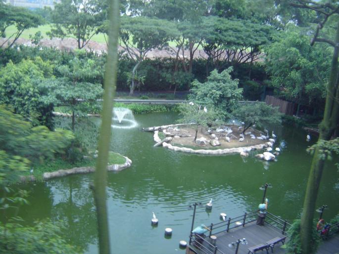 026 - vacanta singapore 2008