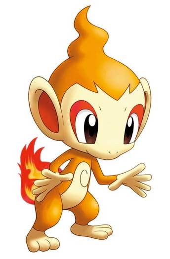 chimchar