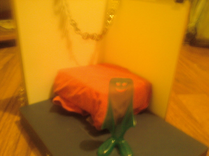 Fotografii-0869 - Vedete Americane