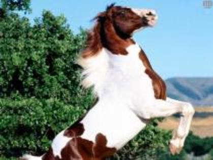 WTVQWFXKEUEKRQMWQXS - bhsjwnjuw whabuqwiwkwiqjwnwnq