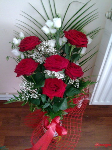 f65c0aca_0050000952795_00_600