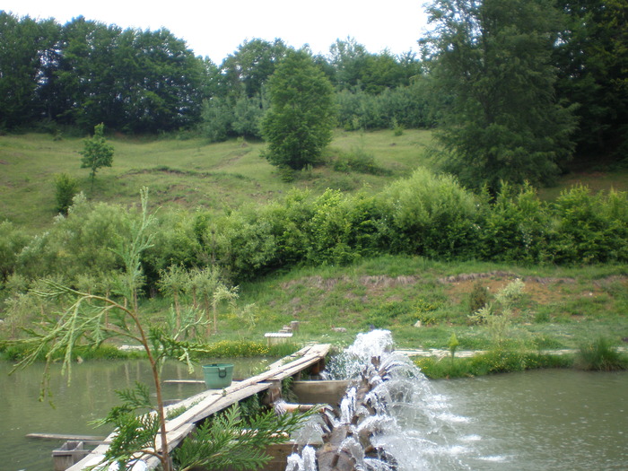 P6030122 - alta pastravarie din maramures