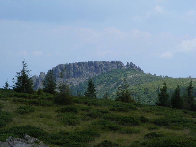 DSCF3101