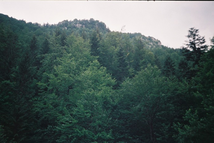 F1000013