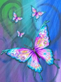 Colourfull_Butterfly