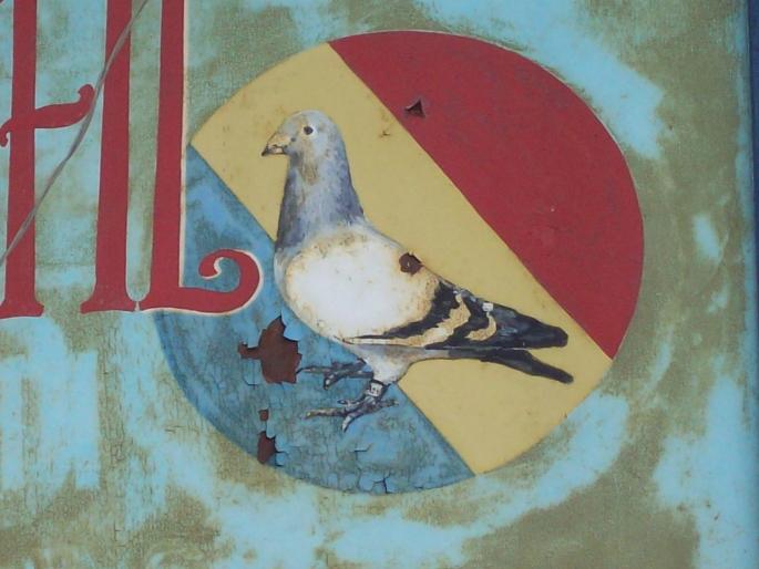 gmg22 005 - ASC grivita concurs 2008