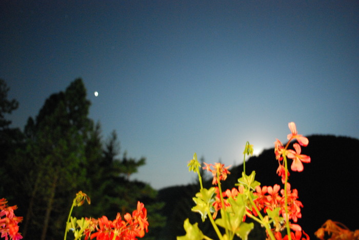 Mm 039 - Maramuresul meu