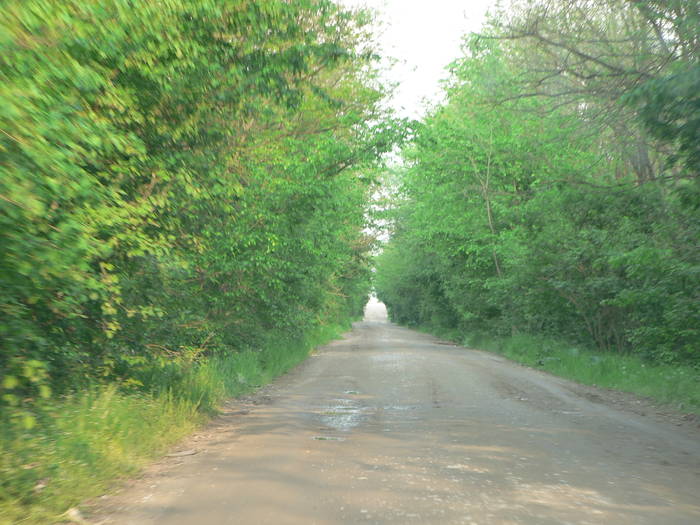 P1040927