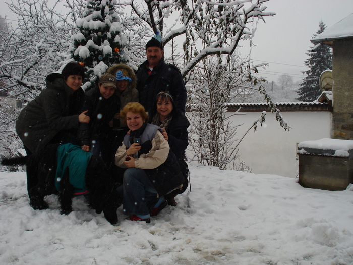 DSC06521 - 2010 REVELION SIBIU