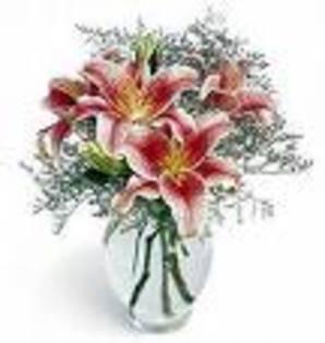 images_3