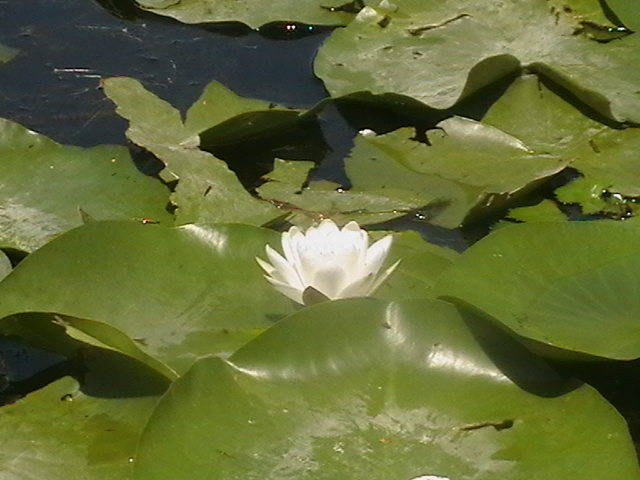 Copy of IMGA0975
