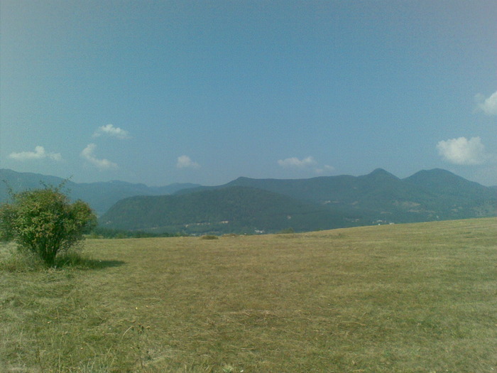 29082009(011) - vanatoare padure
