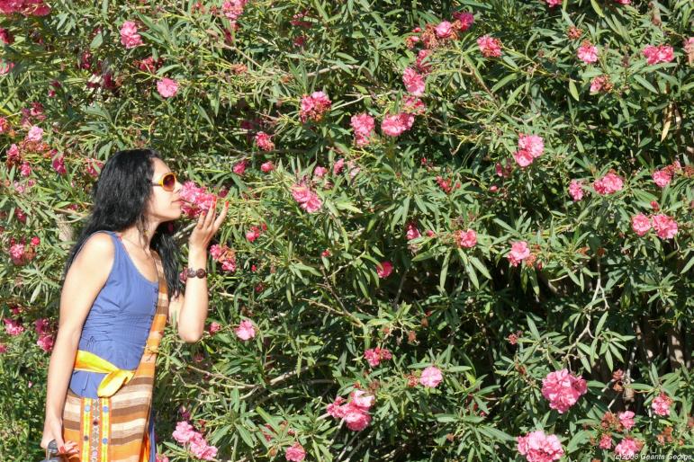 Tunisia_144 - Tunisia