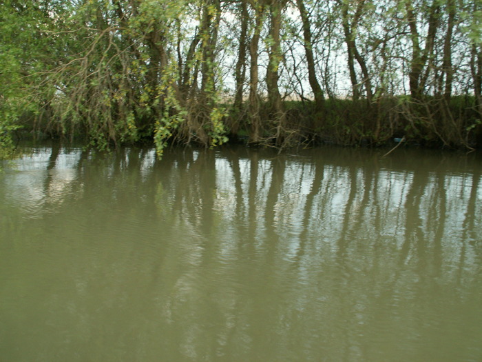 PICT0474 - POZE DELTA