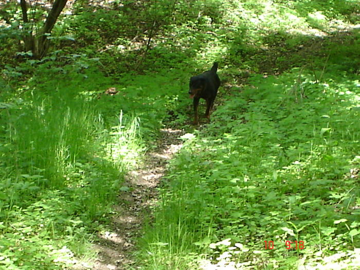 DSC04885 - BELLA poze noi