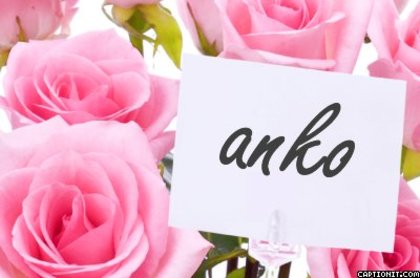 anko