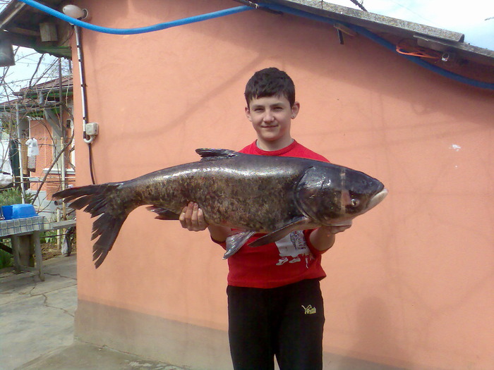 Eu - Novac - 24 kg