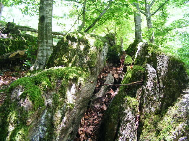 DSCF2592