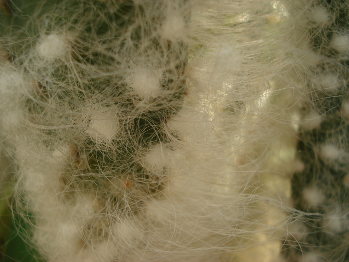 DSC09561
