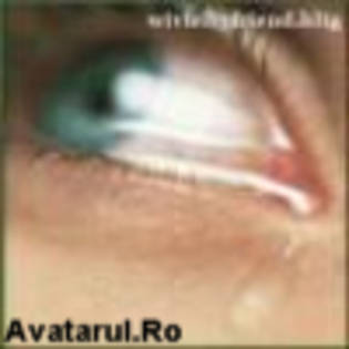 avatar_17