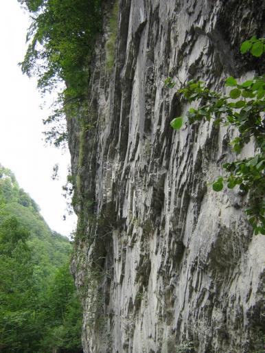 IMG_1405 - Cheile Oltetului