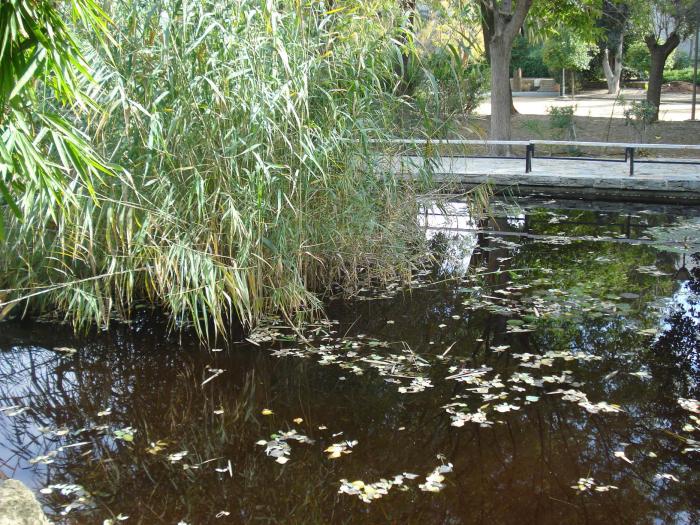 Picture 351; Nicosia de Sud
