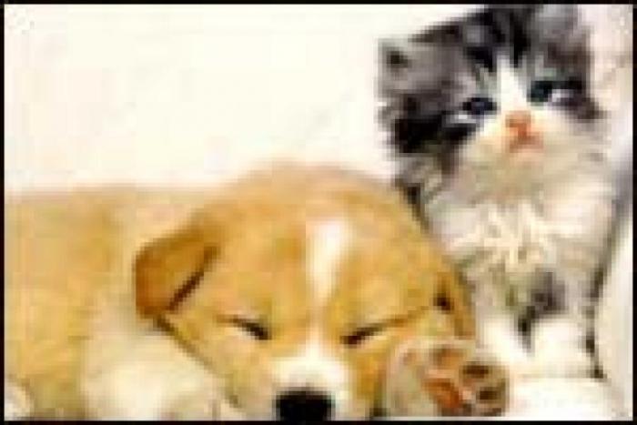 PJMUNMWGEZZFCQETEDT[1]