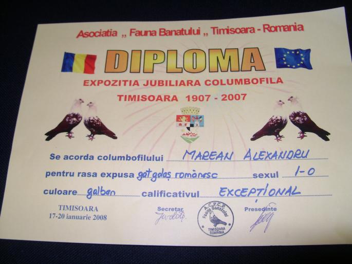expo timisoara 2007 - Diplome si Medalii