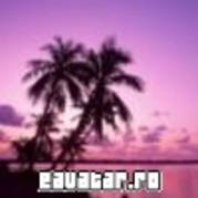 eAvatar.ro_59ecf624b7bede53ab0473613db2fc82palmieri