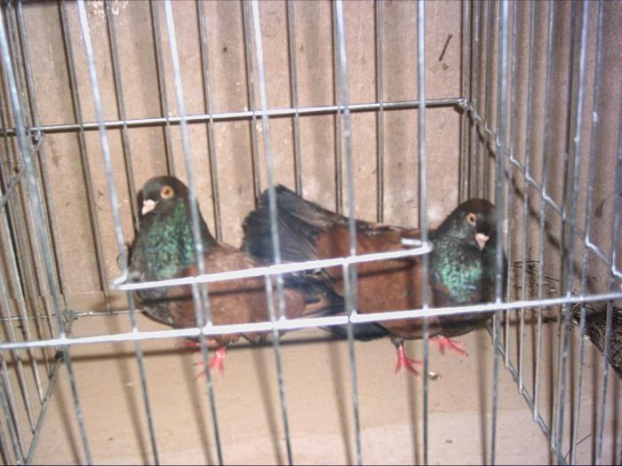 PICT0022