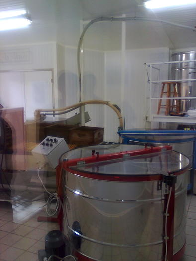 Imagine1447 - ApiMondia